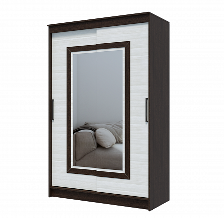 Шкаф-купе "Элегант" 5 (э)