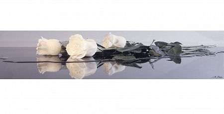 Стеновая панель "SP 033"