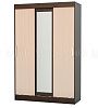 Шкаф-купе "Бася" (м)