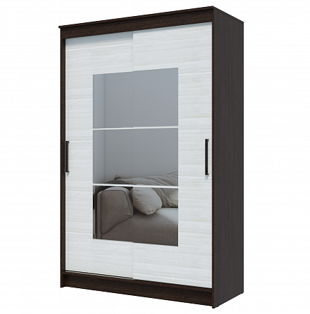 Шкаф-купе "Элегант" 1 (э)