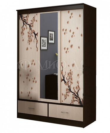 Шкаф-купе "Модерн 1" 1.5 с зеркалом (м)