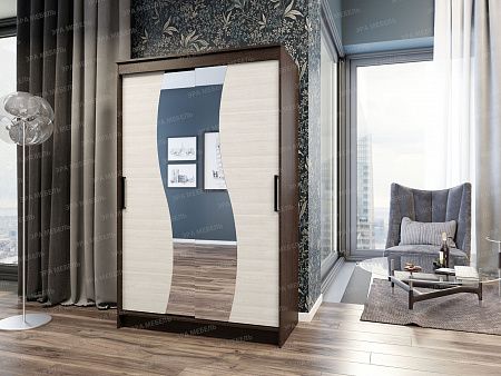 Шкаф-купе "Элегант" 6 (э)