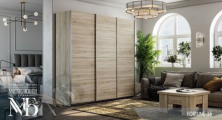 Шкаф-купе Fortune-15 1,6м.  секция 400/400/800 (б)