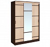 Шкаф-купе "Сакура" 1.5 (б)